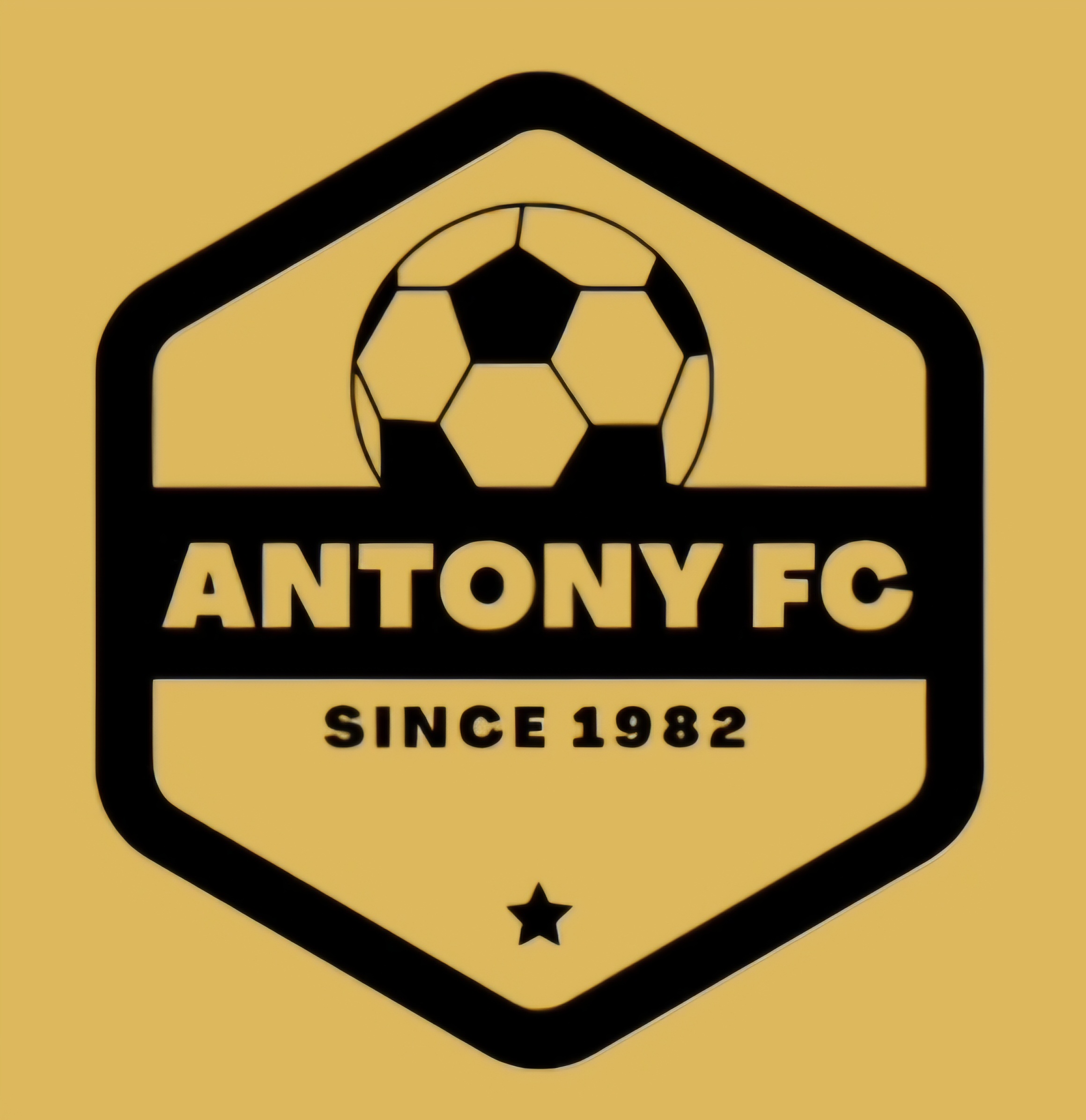 Logo Antony FC